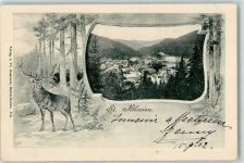 79837 W7822 St. Blasien 1902 Gebrauchsspuren Passepartout Hirsch