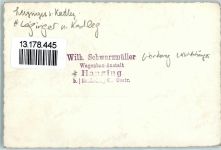 Hanzing LKW Anhänger Werbung Wilhelm Schwarzmüller Karosseriebau Werbung Auto Privatfoto KEINE AK
