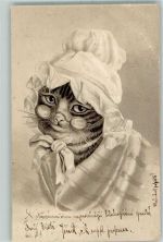 Prägedruck Lithographie Katze mit Brille AK Tier, vermenschlicht 1905 Gebrauchsspuren