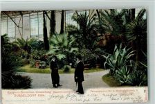 W4000 Düsseldorf Kunst und Gartenbau 1904 - Palmengruppen - Offiz. Karte Nr. 113, Eckknick Gartenbauausstellung 1904 Gebrauchsspuren