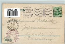 W4000 Düsseldorf Kunst und Gartenbau 1904 - Palmengruppen - Offiz. Karte Nr. 113, Eckknick Gartenbauausstellung 1904 Gebrauchsspuren