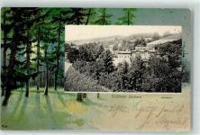 99755 O5508 Sülzhayn 1902 - Kurhaus Passepartout