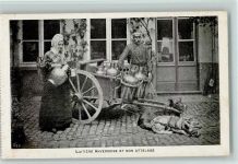 Laitiere Anversoise et Son Attelage AK Hundekarren
