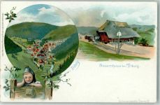 78098 W7740 Triberg im Schwarzwald Lithographie Bauernhaus Kind mit Korb