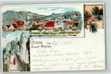 01829 O8306 Wehlen Stadt 1900 Lithographie Basteibrücke Kieferzweig