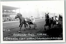 Feldlerche Preis 1. Crasula J. Lohschelder Trabrennen 1953 Privatfoto KEINE AK