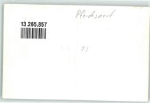 Feldlerche Preis 1. Crasula J. Lohschelder Trabrennen 1953 Privatfoto KEINE AK