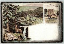 07427 O6825 Schwarzburg 1920 Lithographie Ruine Eberstein Wildschwein Hirsch