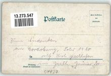 07427 O6825 Schwarzburg 1920 Lithographie Ruine Eberstein Wildschwein Hirsch