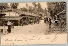 Colombo 1903 Foto AK Road to Mount Lavinia