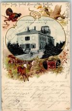 Fichtelberg 1904 Gebrauchsspuren Unterkunftshaus Auerhahn Luchs Reh Jagdhund Litho # beschädigt