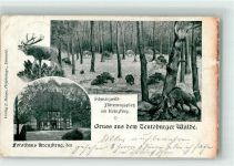 33189 W4797 Schlangen Foto AK Schwarzwild Futterplatz Forsthaus Kreuzkrug Wildschweine Hirsch