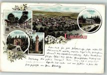 98693 O6300 Ilmenau , Thür 1897 Lithographie Lindenstraße Goethhäuschen Gabelbach Kickelhahn-Turm