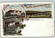 38640 W3380 Hahnenklee 1898 Lithographie Gruss aus -- Hotel Deutsches Haus mit Innenansicht AK