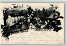 79677 W7869 Schönau im Schwarzwald 1901 - Hotel Sonne und Eingang zum Hotelpark AK