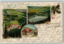 72270 W7292 Ruhestein 1903 Lithographie