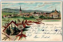 61440 W6370 Oberursel Taunus 1904 Lithographie / Künstlerkarte Ev. Kirche Kirche St. Ursula Asternblüten sign. Otto Flecken