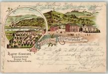 42103 W5600 Kohlfurth Lithographie Gasthaus Kohlfurterbrücke Albert Schneider