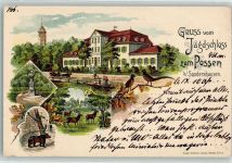 99706 O5400 Sondershausen , Thür Gebrauchsspuren Jagdschloß zum Possen Denkmal Hirsch Bären Pfauen Lithographie