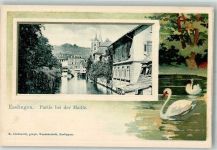 73728 W7300 Esslingen am Neckar Prägedruck An der Maille Schwäne Passepartout