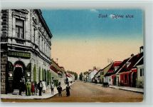 Sisak Sissek / Susak 1916 - Gajeva ulica, gute Erhaltung AK