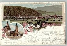 79650 W7860 Schopfheim 1896 Lithographie Ev. Kirche Kath. Kirche