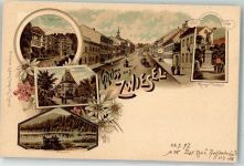 94227 W8372 Zwiesel Lithographie Villa Rabenstein Herrenhaus Theresienthal Arbersee Kriegerdenkmal