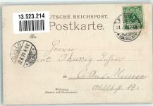 01917 O8290 Kamenz 1899 - Forstfest Festschmuck