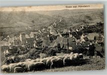 71297 W7256 Mönsheim 1924 - Schäfer mit Schafeherde