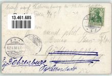 29221 W3100 Celle 1905 Prägedruck Berggarten Fahne