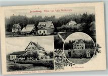 72250 W7290 Zwieselberg , Württ - Blick v. Villa Waldesruh Gasthaus Pension Auerhahn