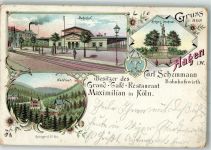 58089 W5800 Hagen , Westf 1897 Lithographie Bahnhof Kriegerdenkmal Waldlust