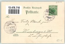65817 W6239 Eppstein , Taunus 1898 Lithographie Bergpark d. Herren Alfred von Neufville Hotel Seiler