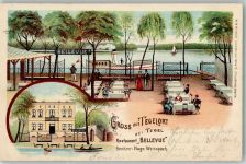 10115 W1000 Tegelort 1909 Lithographie Hotel Bellevue Gartenwirtschaft