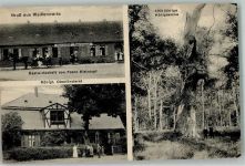 39517 O3511 Weißewarte - Kgl. Oberförsterei 1000-jähr. Königseiche Gasthaus Kleintopf