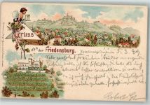 01445 O8122 Niederlössnitz 1899 Lithographie Friedensburg
