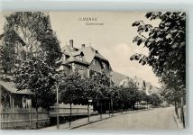 98693 O6300 Ilmenau , Thür Foto AK Goethestraße Villen