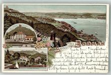 78351 W7762 Bodman 1901 Lithographie Bodensee Schloss Bodmann Gasthaus zur Linde Burgruine