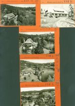 79837 W7821 Wittenschwand Kleinposten bis 20 Lot mit 5 Musterkarten Original aus dem Metzverlag Bestellvorgänge Auflagenzahlen