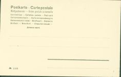Vogel mit echten Federn Collage