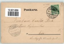60308 W6000 Frankfurt am Main 1900 Lithographie Palmengarten-Weiher Wasserfontaine Dom
