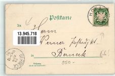 95028 W8670 Hof , Saale 1896 Lithographie Labyrinth Rathaus Thomashöhe Post