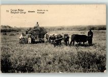Kisantu - belgisch Congo Viehwagen Landwirtschaft