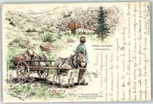 Esel Karren Verlag Elchlepp - Melkerei Sennhütte Hochvogesen Liebich C. 1899 Lithographie / Künstlerkarte