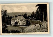 72250 W7290 Zwieselberg , Württ 1916 - Röhrender Hirsch über dem Hotel Pension Hirsch