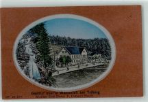 78098 W7740 Triberg im Schwarzwald - Gasthaus über'm Wasserfall Wasserfall