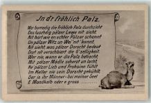 W6800 Mannheim Dromedar Spruch Palz Pfalz Kamel