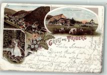 78098 W7740 Triberg im Schwarzwald 1900 Gebrauchsspuren Schwarzwälder Bauernhaus Wasserfall Lithographie Verlag Louis Glaser