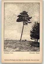 Einsamer Baum sign. Daur, Hermann Kunst und Leben