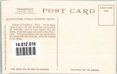 Indians of California - Pomo Indianer